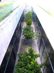 Axpe (Busturia) - Torre Madariaga y Centro de Biodiversidad de Euskadi 22
