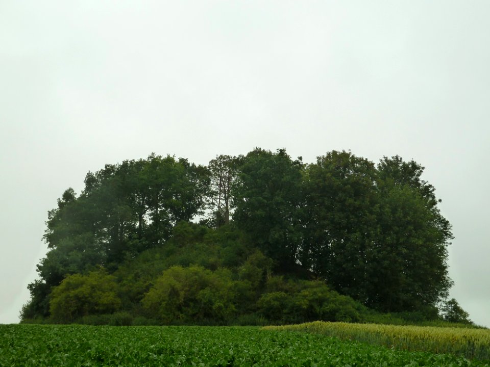 Awans-Tumulus van Othée (2)