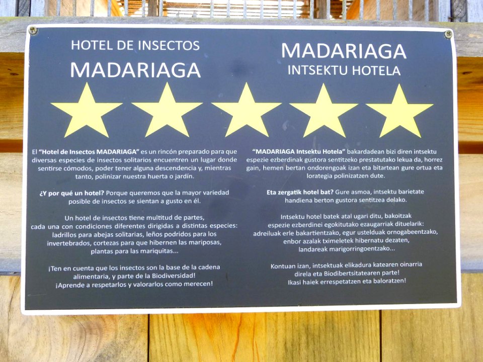 Axpe (Busturia) - 'Hotel de insectos' junto a la Torre Madariaga y Centro de Biodiversidad de Euskadi 2