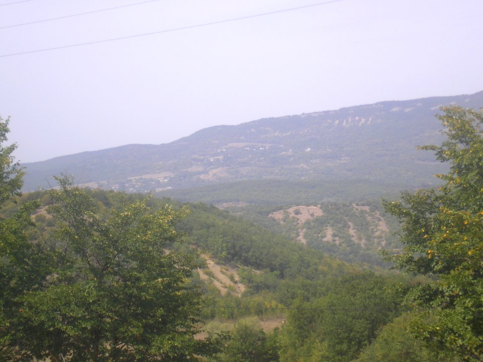 Ayirgul
