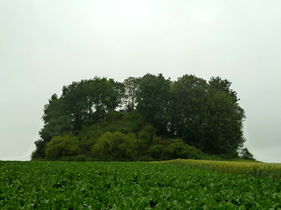 Awans-Tumulus van Othée (3)