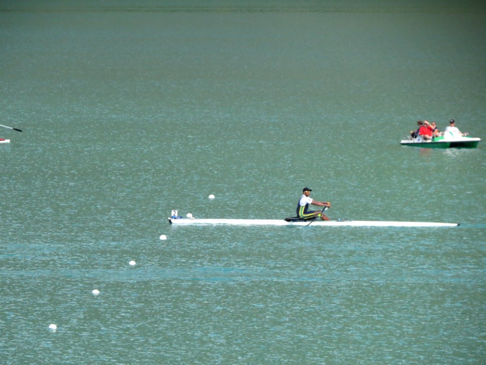 Aviron 2015 - World Championships - 79