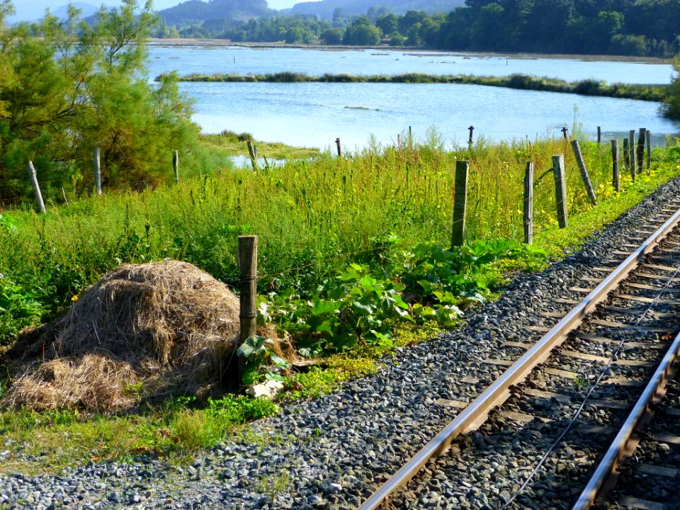 Axpe (Busturia) - Vista del Estuario de Urdaibai desde la estación de Axpe