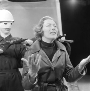 AVRO-TV Antique met onder andere E.L. Andersen Ton Lutz en Andre van den Heuvel, Bestanddeelnr 913-6991