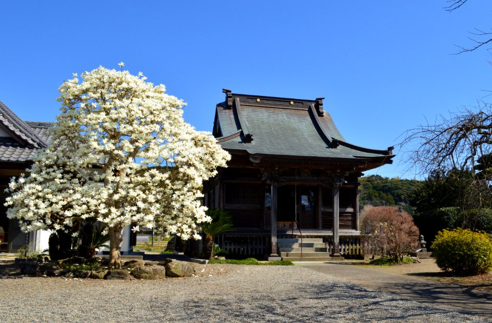 Awa Kokubunji (Tateyama), hondo