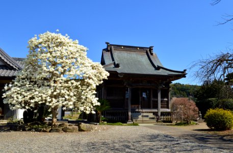 Awa Kokubunji (Tateyama), hondo