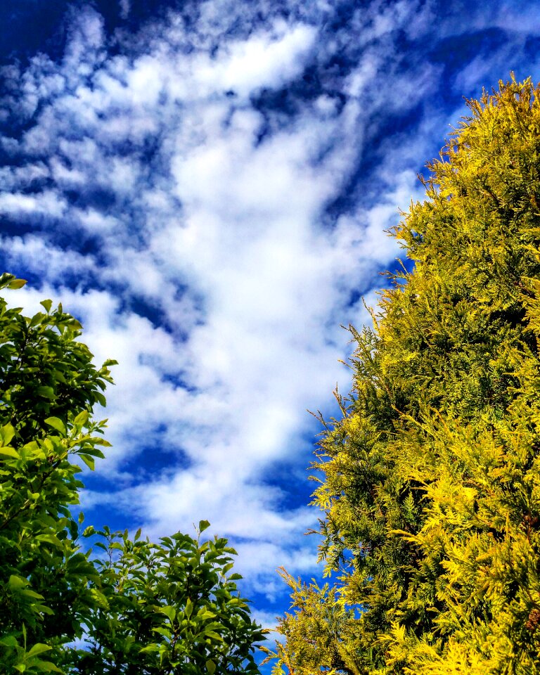 Hd blue sky english