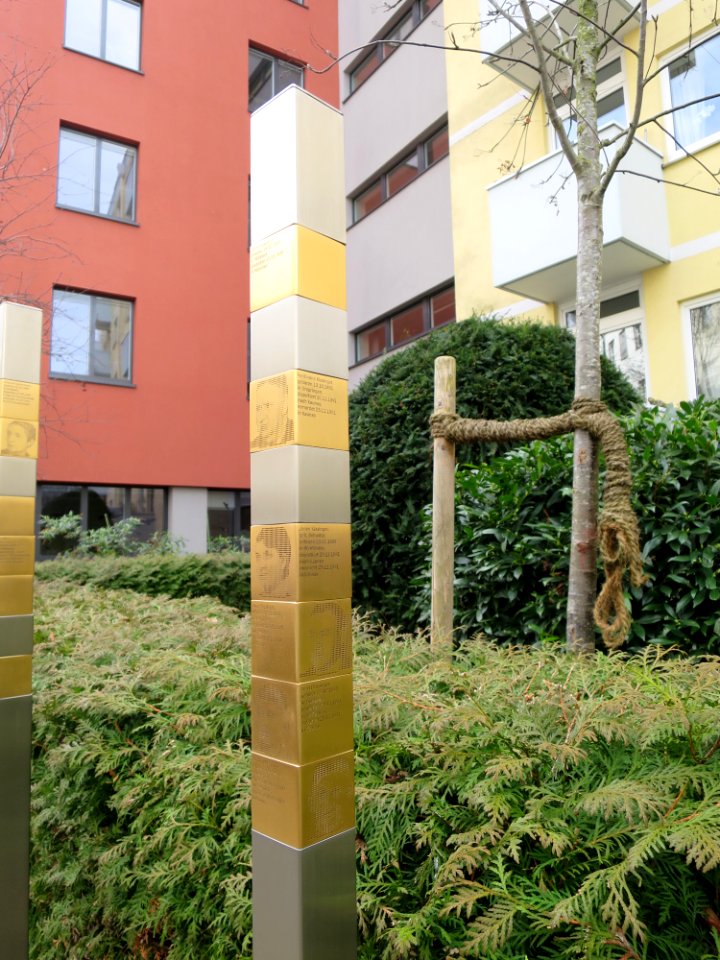 Bürkleinstraße 20 München 19