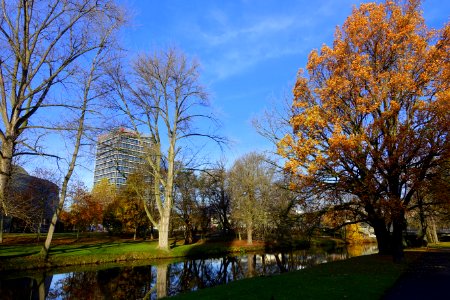 Bürgerpark - Braunschweig, Germany - DSC04219