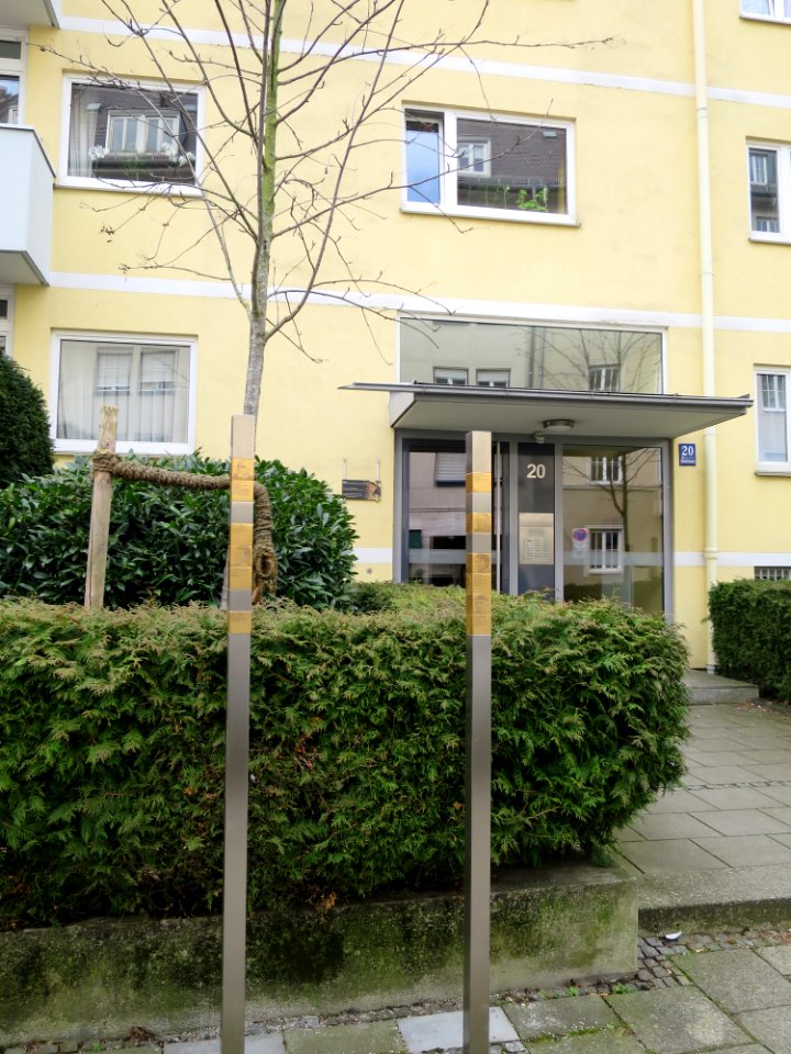 Bürkleinstraße 20 München 20