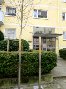 Bürkleinstraße 20 München 20