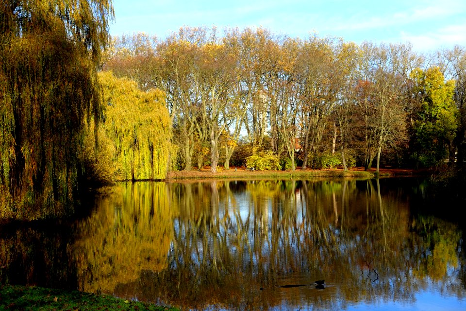 Bürgerpark - Braunschweig, Germany - DSC04210