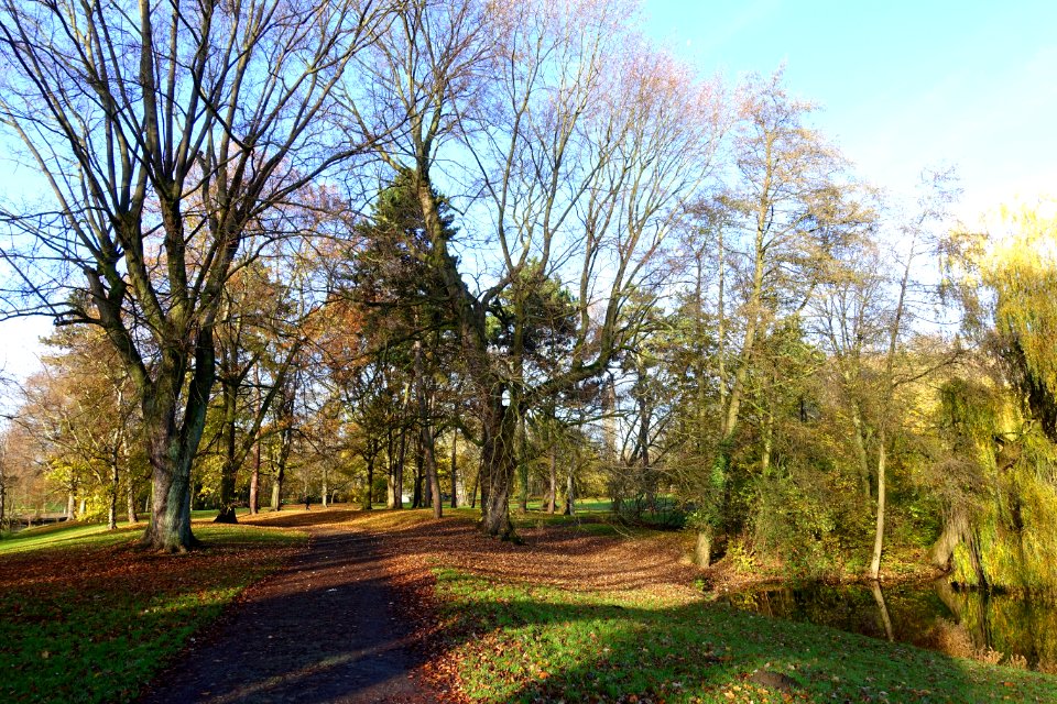 Bürgerpark - Braunschweig, Germany - DSC04212