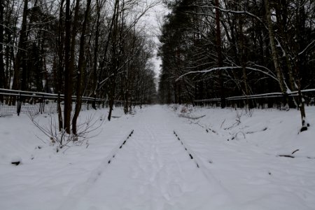 Bötzowbahn Spandauer Forst with snow 2021-02-09 01