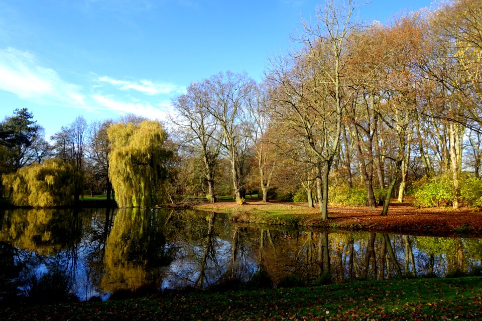 Bürgerpark - Braunschweig, Germany - DSC04198