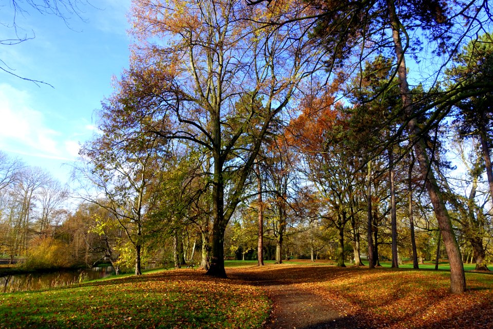 Bürgerpark - Braunschweig, Germany - DSC04213