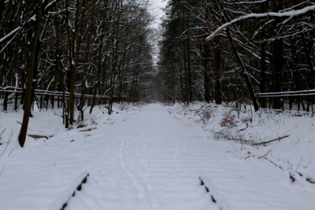 Bötzowbahn Spandauer Forst with snow 2021-02-09 02