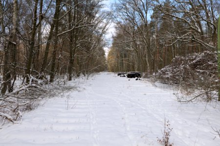 Bötzowbahn Spandauer Forst with snow 2021-02-10 01