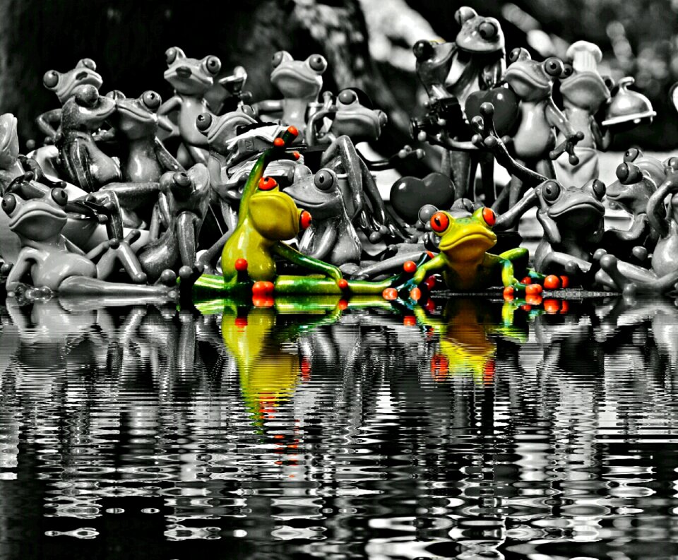 Collection mirroring water