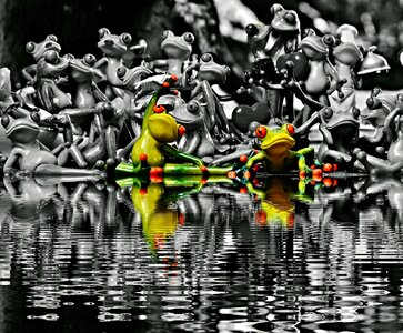 Collection mirroring water