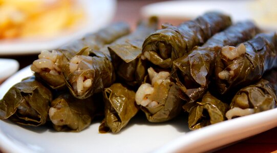Turkish food dolma