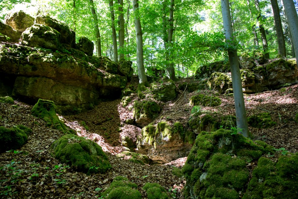 Bärenloch bei Fromberg (A 119) 006