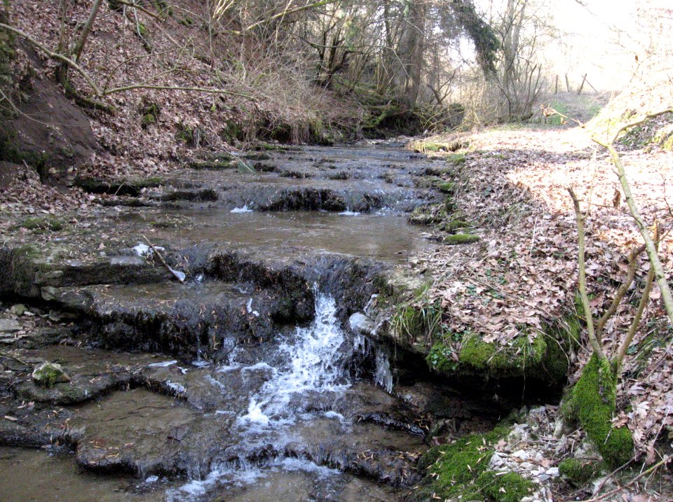 Bänke im Oberen Muschelkalk in der Steinbachklinge, Blick talauf nach W