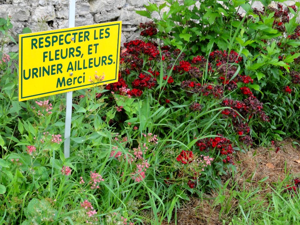 Azerailles (M-et-M) village fleuri... (01)