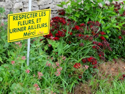 Azerailles (M-et-M) village fleuri... (01)