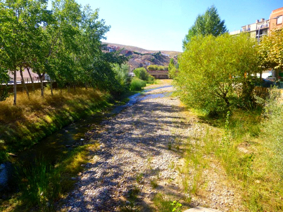Autol - Río Cidacos 4