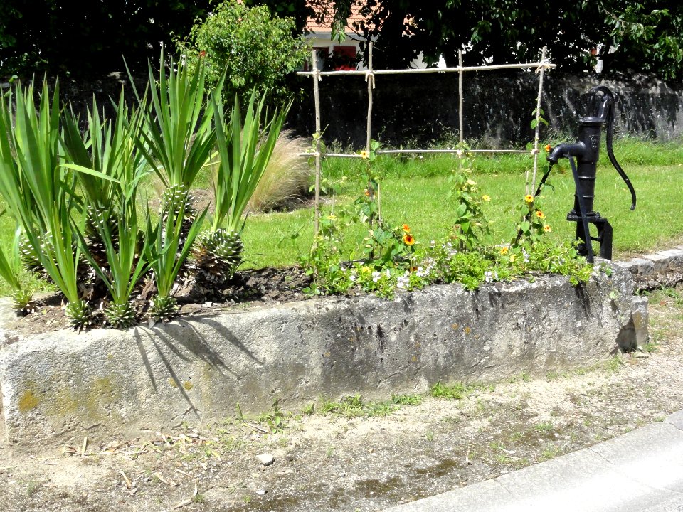 Azelot (M-et-M) fontaine B (avec pompe)