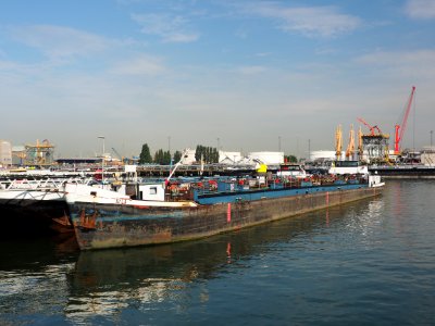 Ayla (ship, 1956) ENI 07000505, Port of Rotterdam pic2