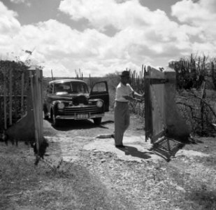 Auto bij een toegangshek op Bonaire, Bestanddeelnr 252-8363