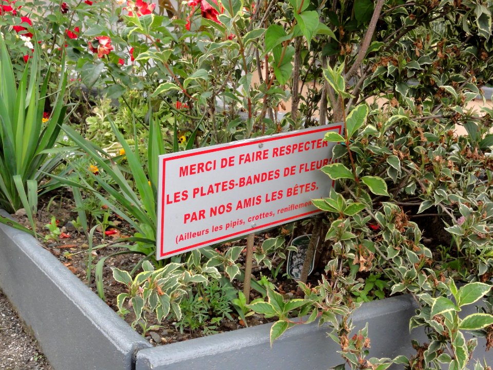 Azerailles (M-et-M) village fleuri... (02)