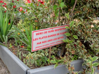 Azerailles (M-et-M) village fleuri... (02)
