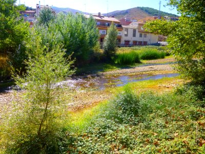 Autol - Río Cidacos 3