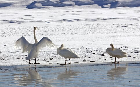 Water lake snow