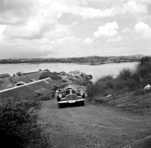 Auto op een weg op Curaçao Op de achtergrond het Schottegat, Bestanddeelnr 252-7610