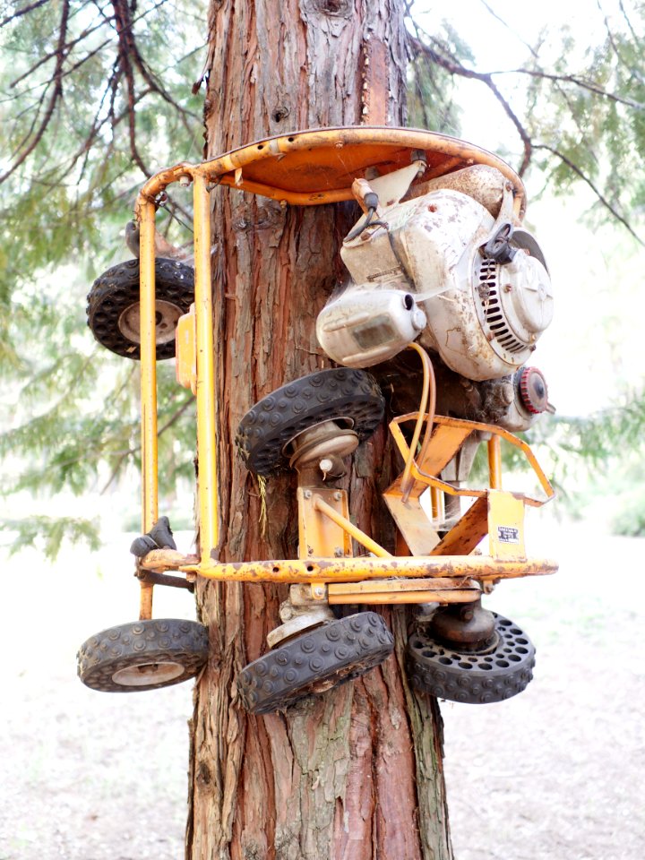 Automatic tree pruner at Sierra Nevada Logging Museum 2017-06-30