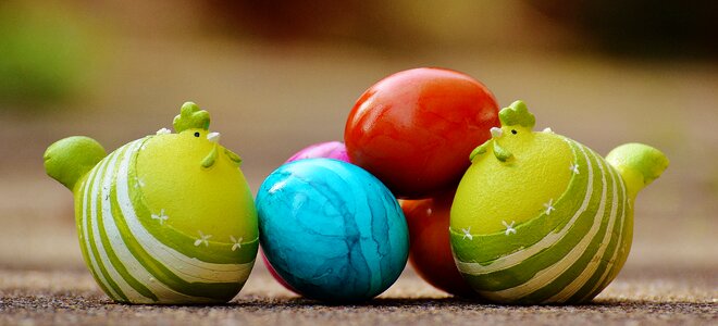 Chickens happy easter colorful eggs