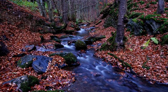 Autumn River (128869533) photo