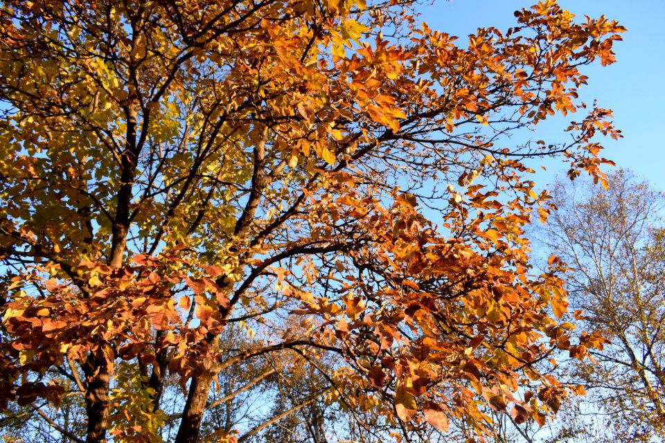 Autumn colors at old terminal B of Vladivostok International Airport. 11