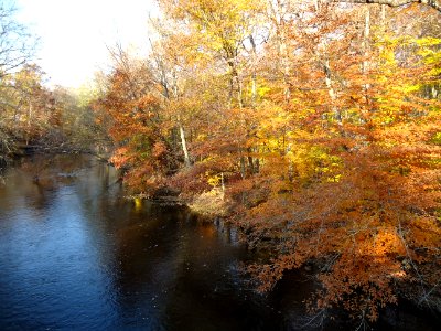 Autumn Passaic River looking north photo