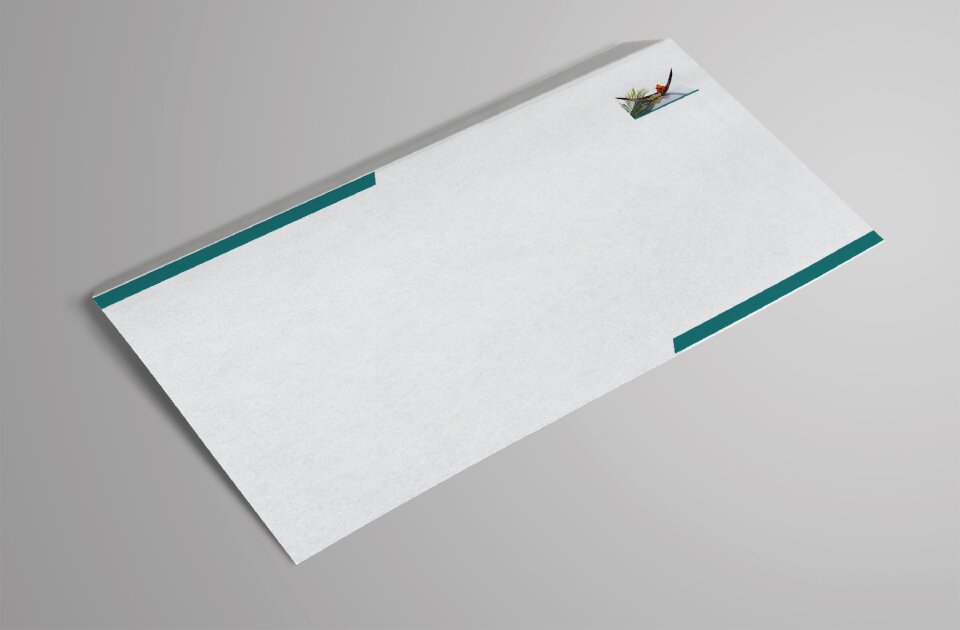 Office supplies mailing send
