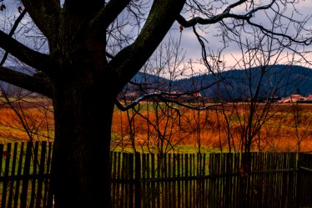 Autumn in Gorzuchów, Polan (189982607) photo