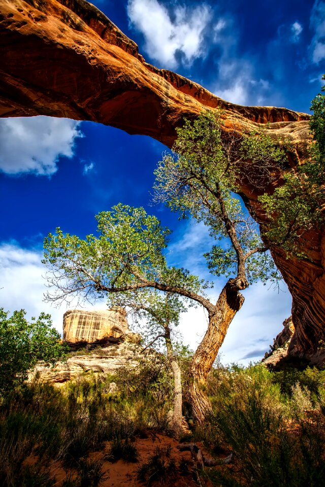 Tourism utah national park