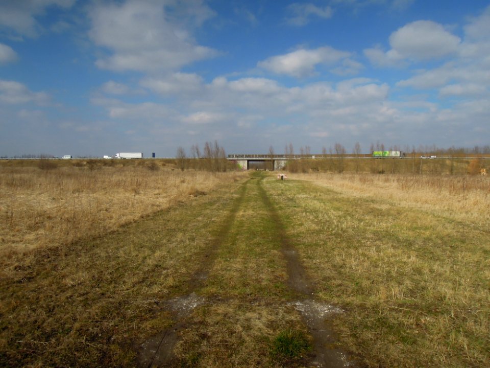 Autobahnbrücke der A 38 zur Sicherung der ökologischen Durchgängigkeit in der Neuen Harth in Gaschwitz -Fernansicht- im März 2018b