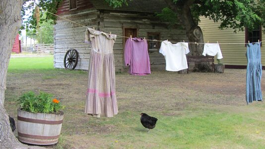 To wash clothes laundry chicken