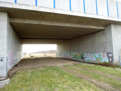 Autobahnbrücke der A 38 zur Sicherung der ökologischen Durchgängigkeit in der Neuen Harth in Gaschwitz -Nordansicht- im März 2018b