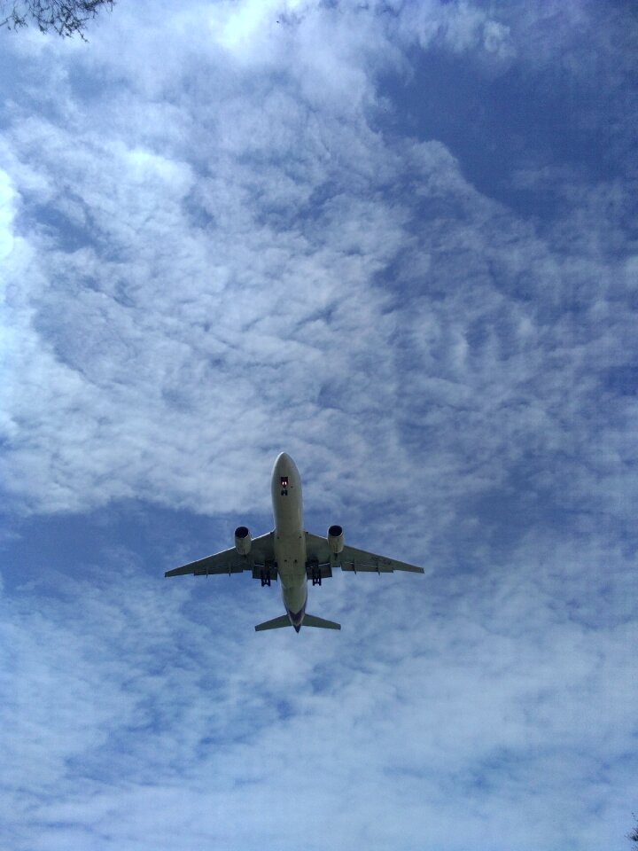 Blue sky morning under